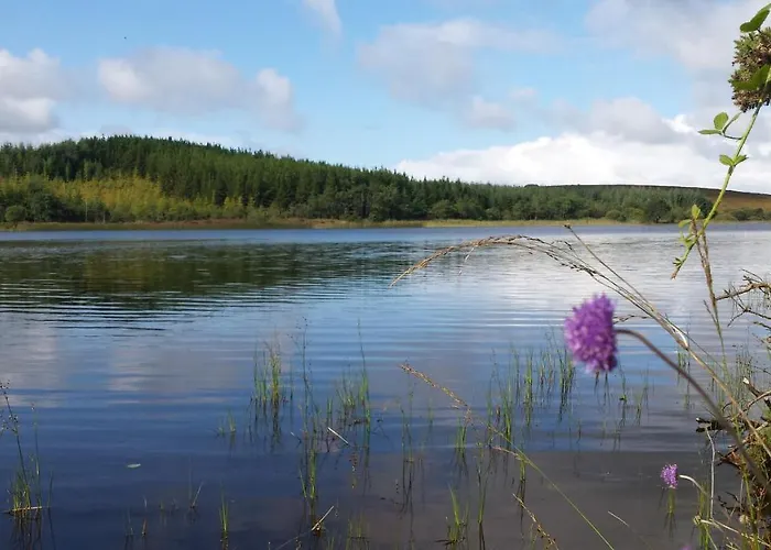 Lough Mardal Eco * Donegal Town